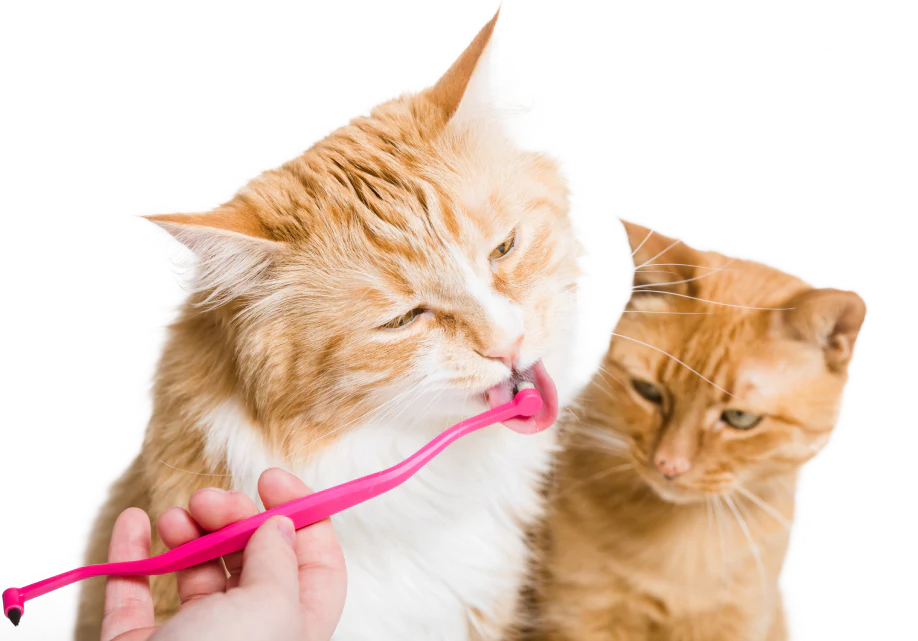 Welcome to Our Store