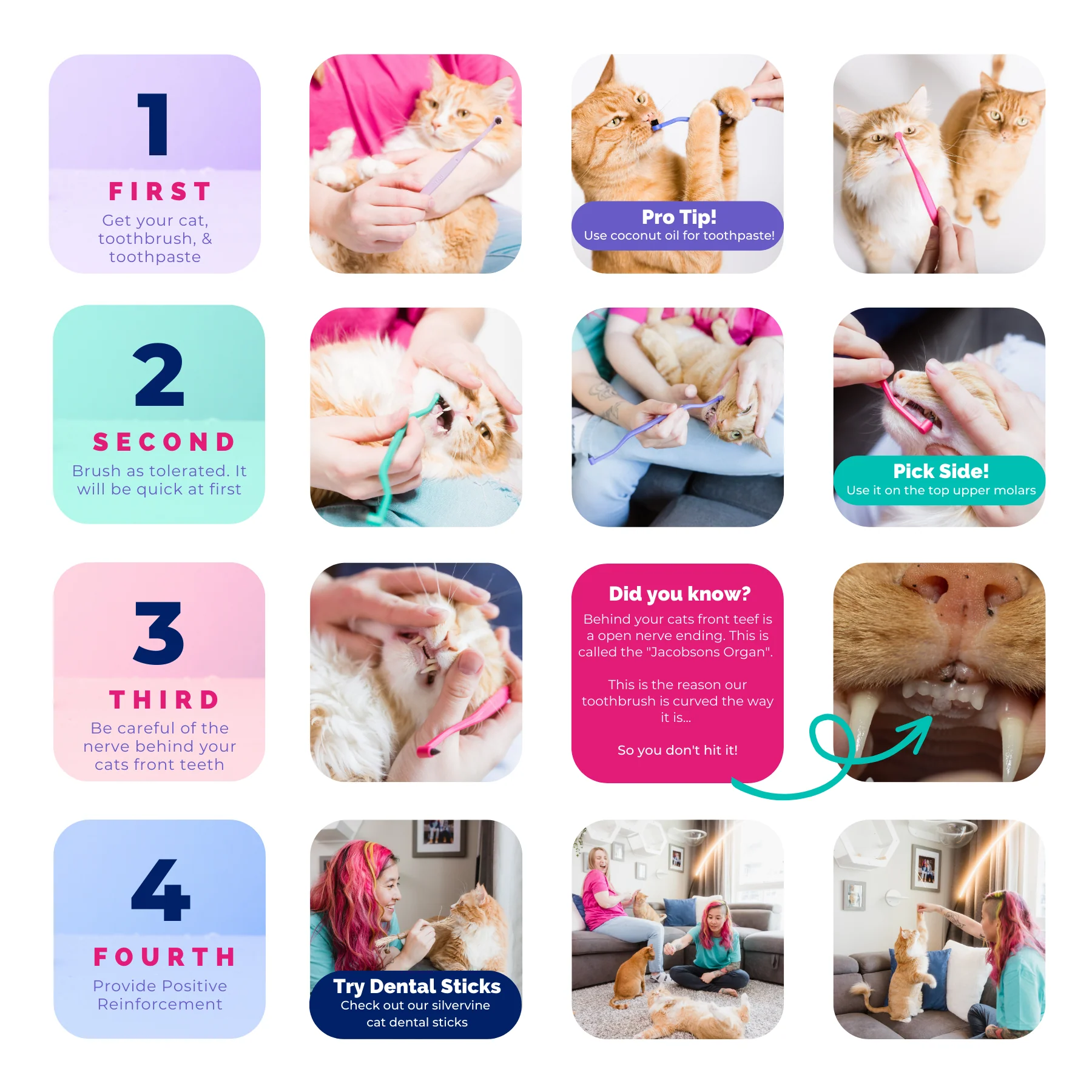 RYERCAT Dual Sided Cat Toothbrush - Image 15