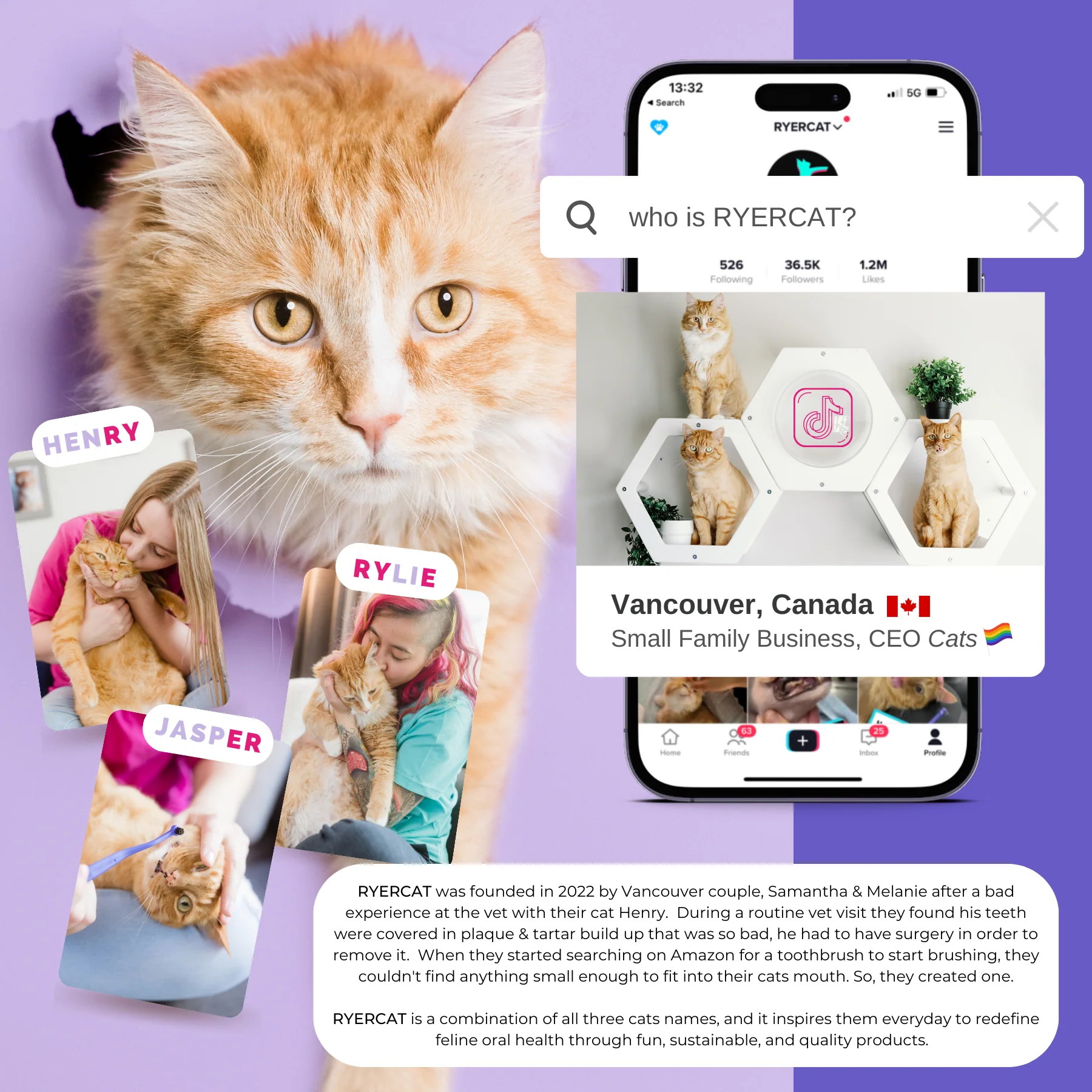 RYERCAT Dual Sided Cat Toothbrush - Image 17