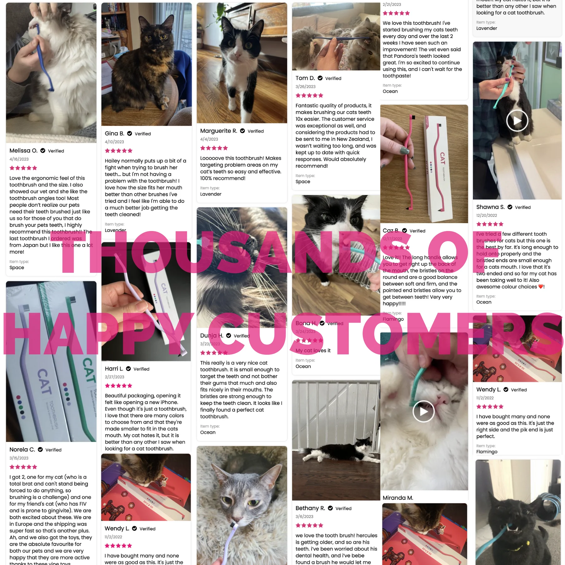 RYERCAT Dual Sided Cat Toothbrush - Image 21