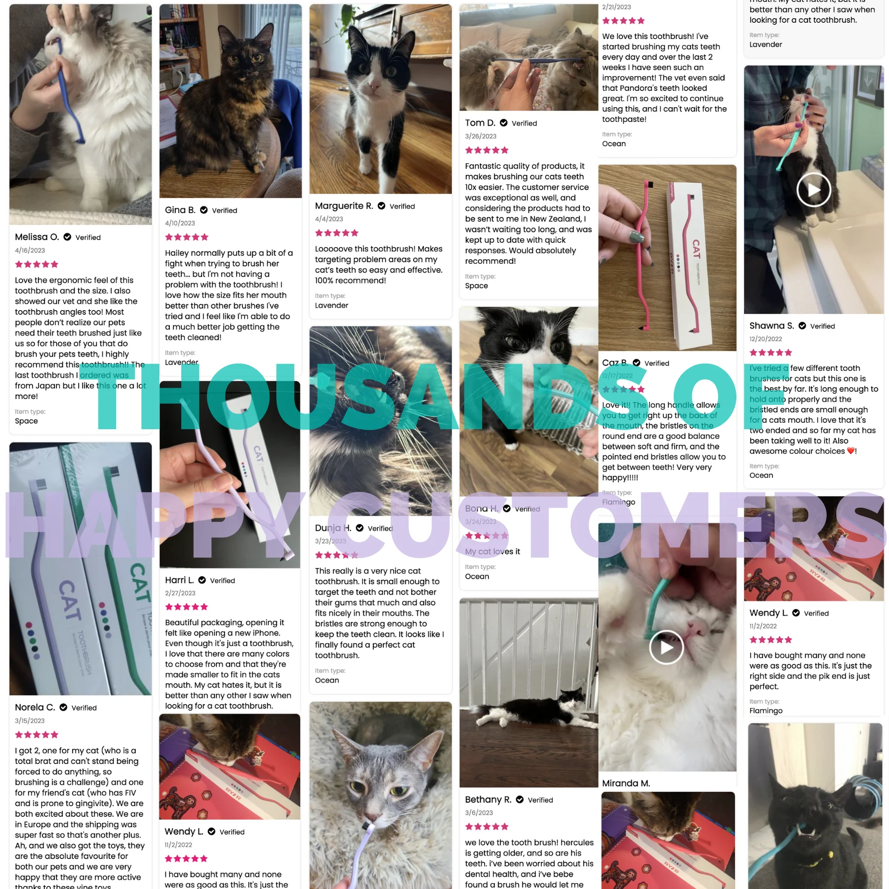 RYERCAT Five-Pack Dual-Sided Cat Toothbrush - Image 5