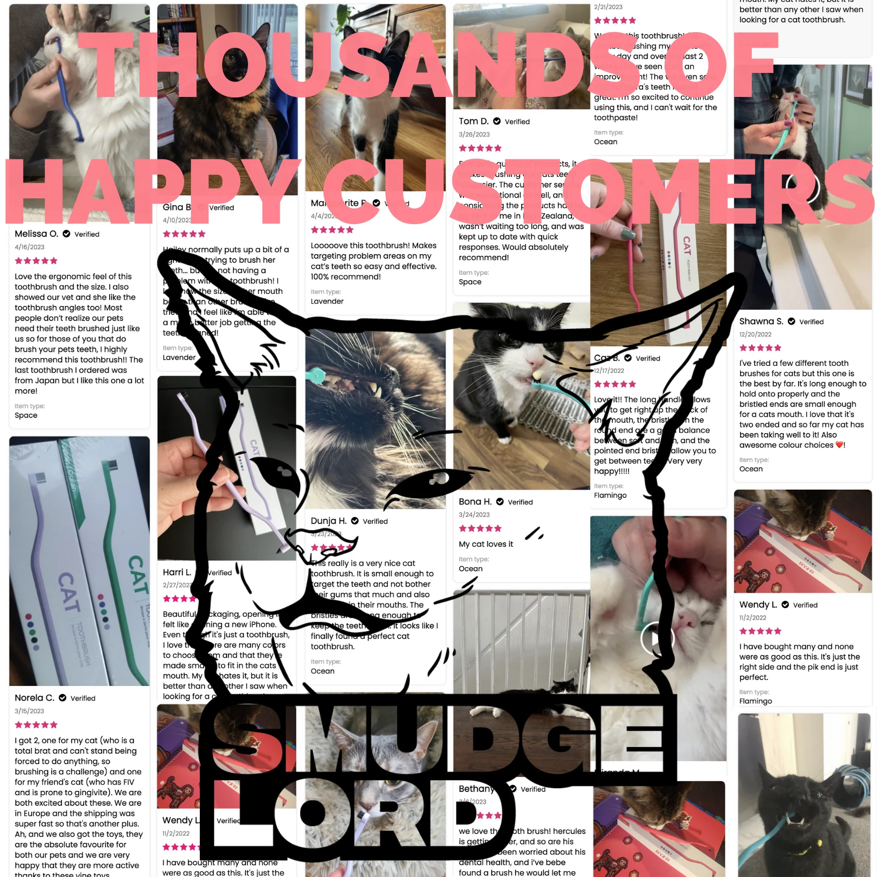 SMUDGELORD TOOTHBRUSH - Image 10