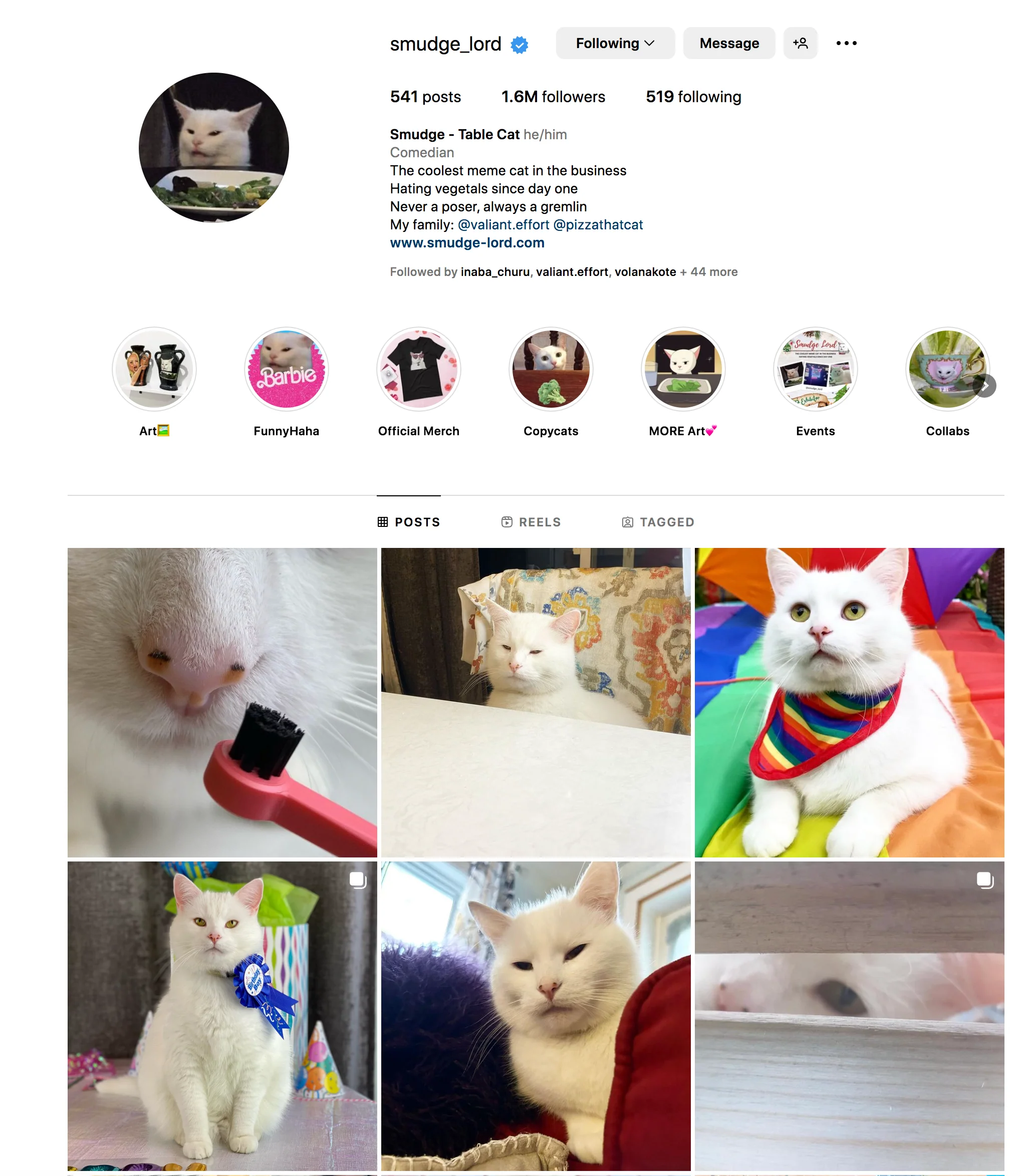 SMUDGELORD TOOTHBRUSH - Image 11