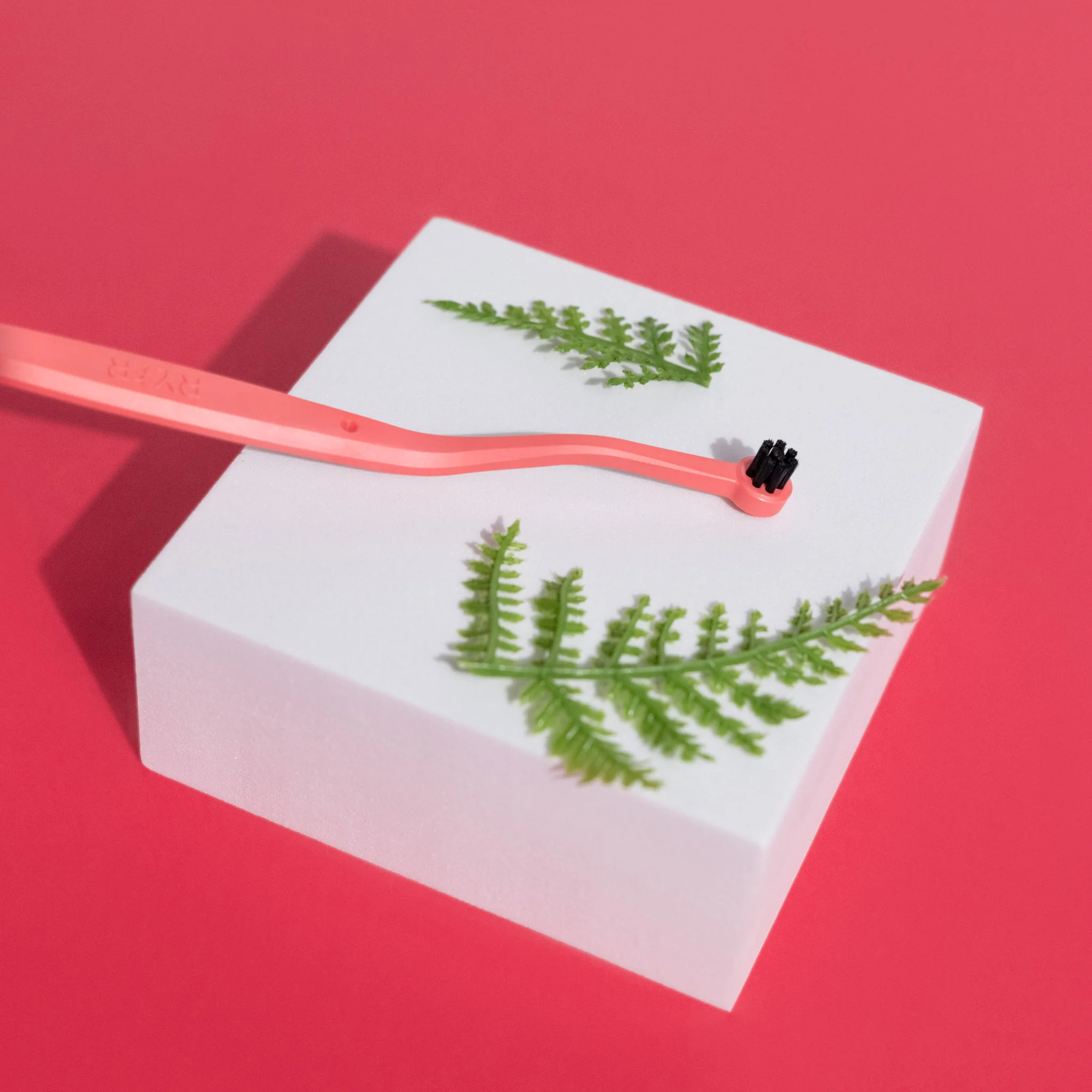 SMUDGELORD TOOTHBRUSH - Image 15